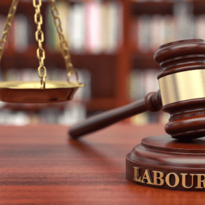 Employment and Labor Relations Court Proceedings